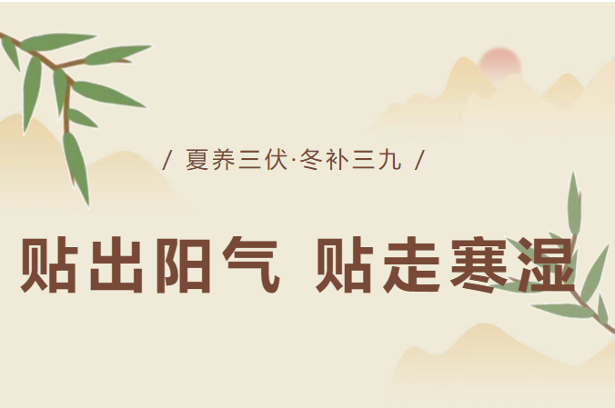 夏至至出伏，一贴一调理｜长者专享贴灸优惠来啦！